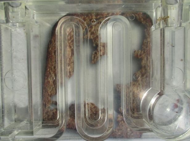 Lab Armoede Live small